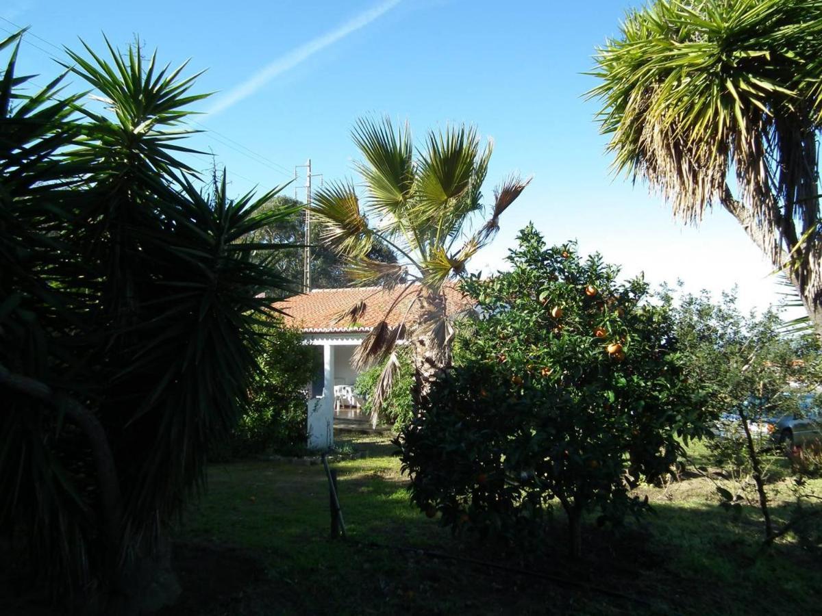 Holiday home Arneiro De Valverde - Nature & Magical Sunset *