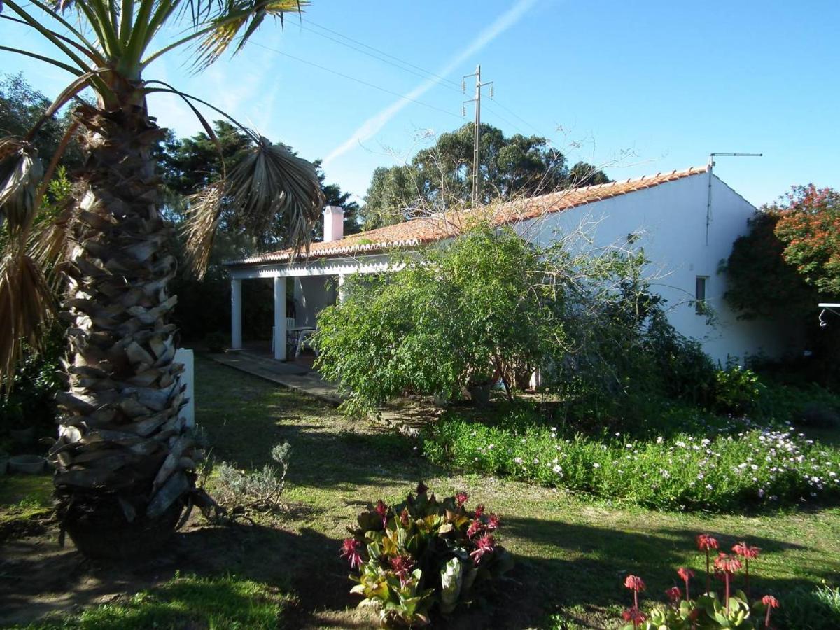 Holiday home Arneiro De Valverde - Nature & Magical Sunset *